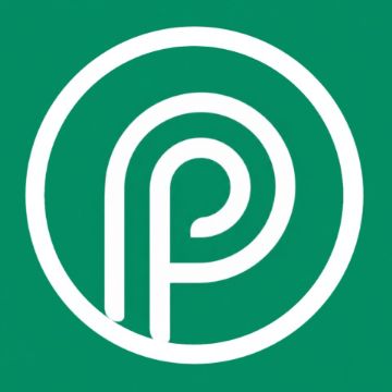 PskWork logo